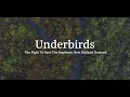 Underbirds: The Fight to Save the Southern New Zealand Dotterel by students at University of Otago.