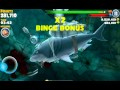 Hungry Shark Evolution - High Score Gameplay