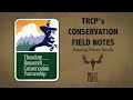 Conservation in the National Petroleum Reserve - Conservation Field Notes with Steven Rinella