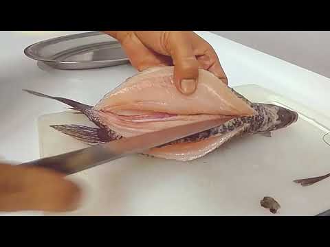Cara fillet ikan gurame mudah dan cepat