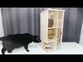 18 Amazing DIY Cat Toys You Can Do at Home Compilation
