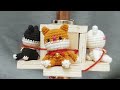 18 Amazing DIY Cat Toys You Can Do at Home Compilation