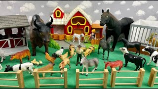 Setting Up The Farm Montando A Fazendinha