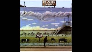 Watch Dr John Somebody Changed The Lock video