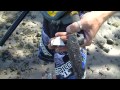 Imagen del vídeo GOLD ON THE BEACH 10 (Antique Gold found, - We show you how and where)
