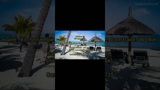 Maldives Resort Job