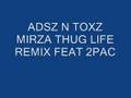 ADSZ N TOXZ PRODUCTIONS MIRZA THUG LIFE REMIX FEAT 2PAC