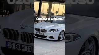 Firuze-Bmw F10 Edit Shorts
