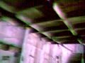 LCM Birdhouse Swiftlets nesting after 14 months