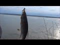 ловля рыбы в красном луче ловля рыбы в красном луче