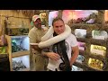 Search For World S Biggest Snake Snakebytestv Search For World S Biggest Snake Snakebytestv
