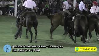 Carlos Alberto Reale Apadrinador En Ing. Luiggi La Pampa 2024 - Carlos Barroso