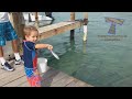 Super FUNNY ANIMALS - Extremely hard TRY TO STOP LAUGHING challenge