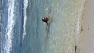 Diamond Head Beach-Nicole Drowning