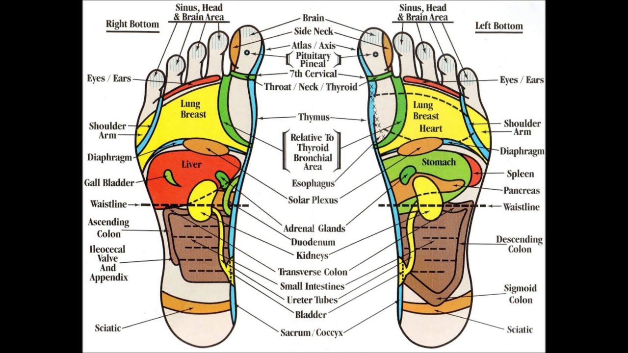 Free chart sexual hand reflexology