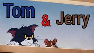 Tom And Jerry Clips Twixtor Tom And Jerry