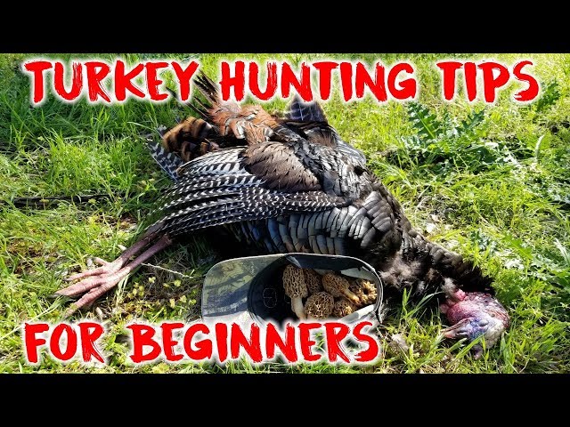 Watch Turkey Hunting Tips for Beginners | Hunting Boot Camp on YouTube.