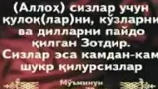 Quron Mojizalari Inson Embrion Azo Spaces Ru