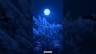 Nightcore Deep Chills - Run Free Lyrics Edit