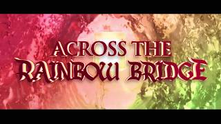 Watch Ayreon Across The Rainbow Bridge video