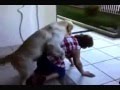 Un cane VIOLENTA una Donna - VIDEO DIVERTENTE