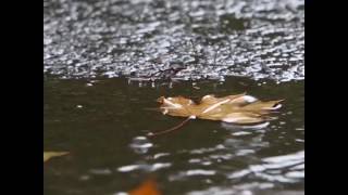 The Sweet Smell Of Wet Bacteria