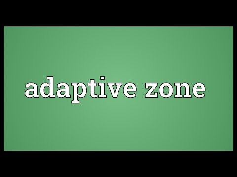 Header of Adaptive Zone