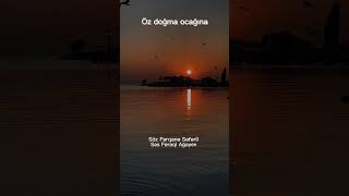 𝗙𝗲𝗿𝗮𝗾𝗶 𝗔ğ𝗮𝘆𝗲𝘃 - Durna Qatarı Ferqanə Səfərli Möhtəşəm Şeir