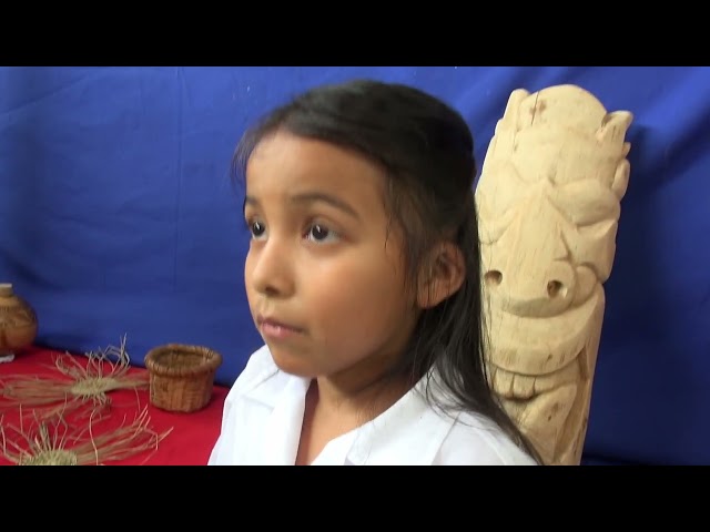 Watch Director Escuela Indigena de Zapatón | Consejo Consultivo 2023 on YouTube.