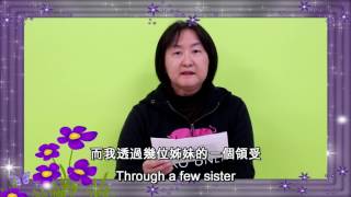 2016-06-18 Iris Testimony