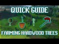 Quick Guide to Farming Hardwood Trees in OSRS