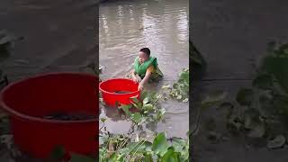 Cả Thau Luôn Nè..