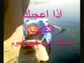 shaukat11100