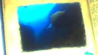 Finding Nemo Mr. Rays Encyclopedia Squirt