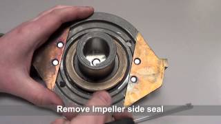 SP-60 Mechanical Seal Replacement