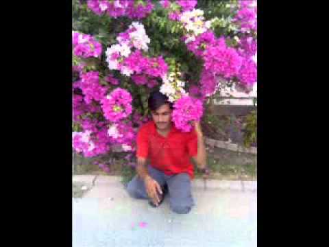 wady hoty haim wafa krny k liye