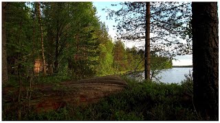 Erämaajärven sauna
