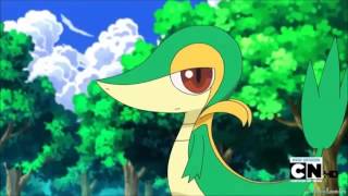 Snivy Amv - Let It Rock