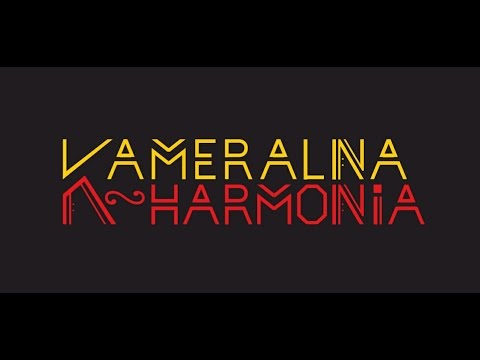 18.12.2016r Koncert Kameralnej N-Harmonii!