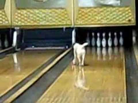 King Pin Bowling