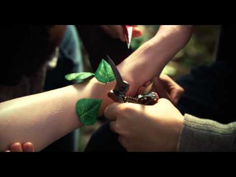 The Odd Life of Timothy Green (2012) - Trailer