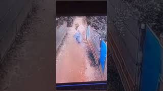 Aliza Sehar Viral Video Tiktoker Aliza Sehar Viral Video Stani Viralvideo