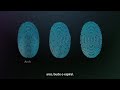 iphone 5 oficial video