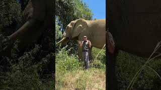 This Is Mak - He Is A True Hero For Conservation