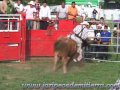 Jaripeos En Usa Los Porrazos Etaculares Del 2010 Parte Dos images Jaripeos En Usa Los Porrazos Etaculares Del 2010 Parte Dos