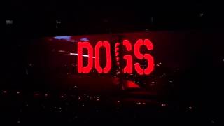 Dogs / Pigs (Three Different Ones) - Roger Waters live in Sao Paulo Oct 10, 2018