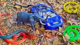 Toys for Kids Car Snakes Elephant Story for kids animation cartoon video for kids Shivay Childhood
