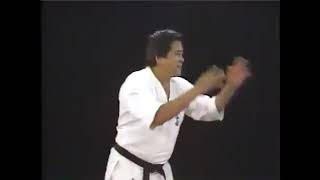 Ashihara Karate with Kancho Hideyuki