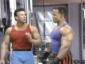 bodybuilding arm routine