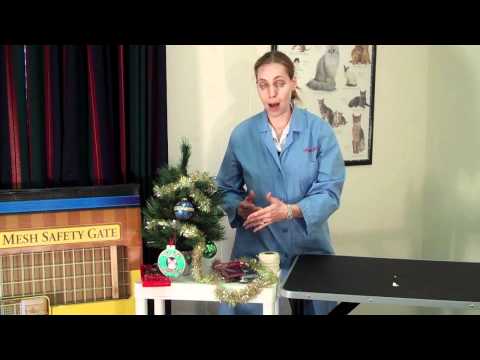 Fantage Free Ecoins « Fantage Guide and.